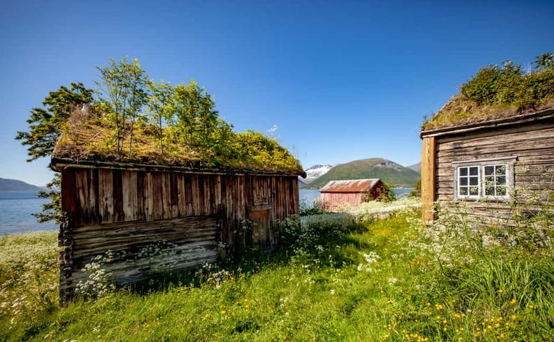 Tromsø: Summer Fjord Road Trip with Citizen Science - Kvaløya, the reason this half-day feels longer