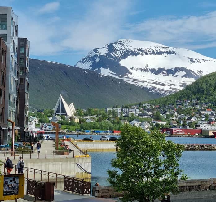 Tromsø Sweet Temptations Tour: Afternoon Tea & Other Sweets - Northern Lights Cake and Other Sweet Hits You’ll Want to Revisit