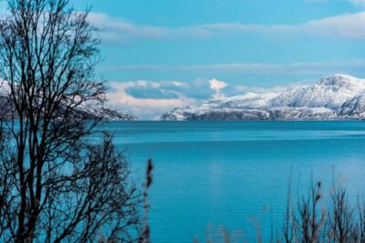 Visit 5 Fjords in 4 hours