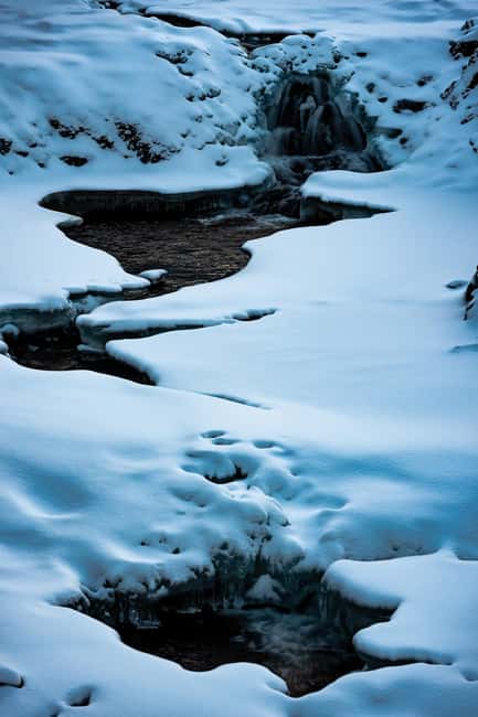Tromso: Visit 5 Fjords in 4 hours - Price and value: is $199 for 5 fjords worth it?
