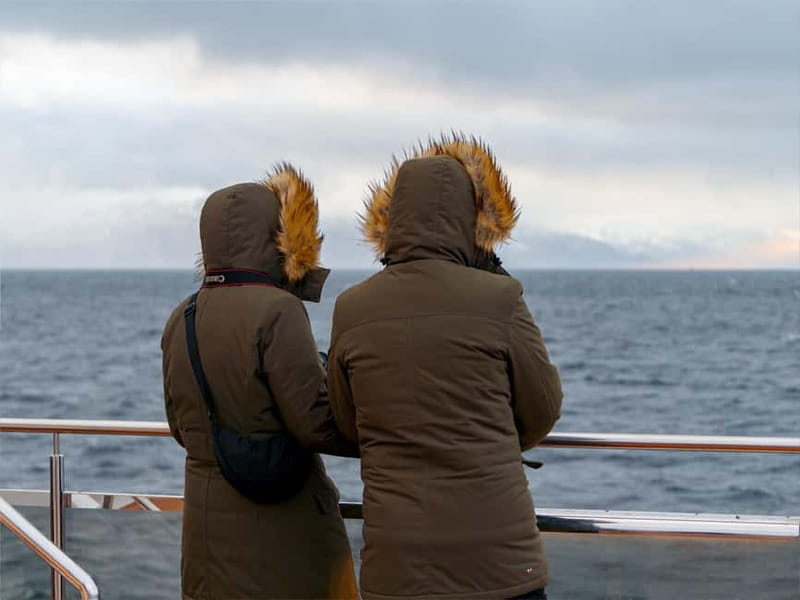 Tromsø: Whale Watching on hybrid boat with scenic bustrip - Key things to know before you go