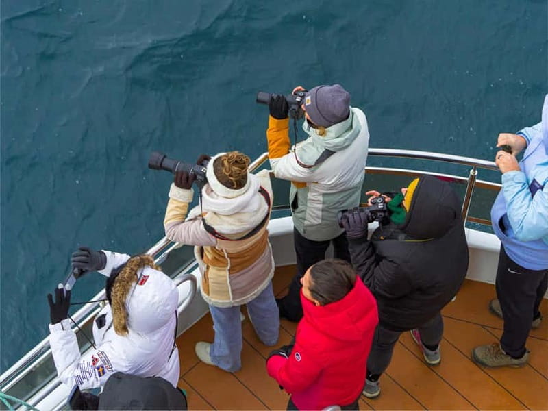 Tromsø: Whale Watching on hybrid boat with scenic bustrip - Tromsø to Skjervøy: why this day feels like more than just whales