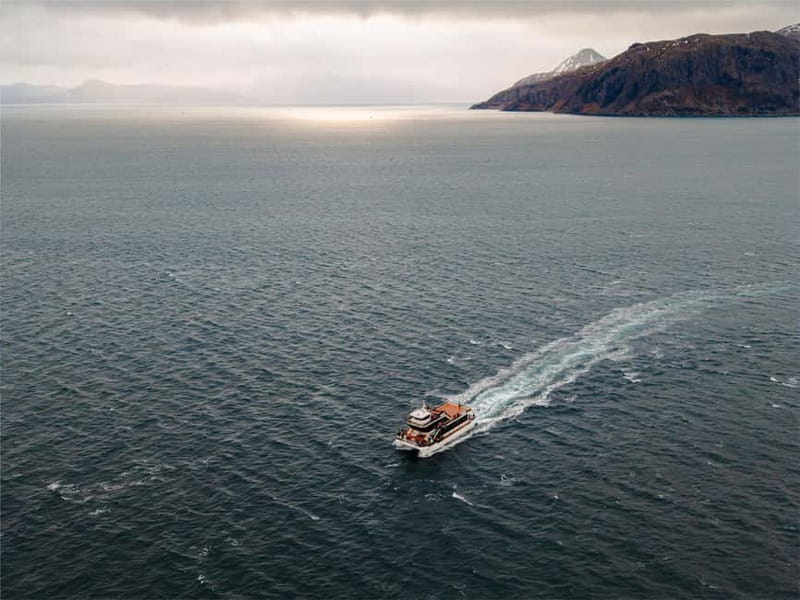 Tromsø: Whale Watching on hybrid boat with scenic bustrip - Food and drinks onboard: simple, flexible, not built into the ticket