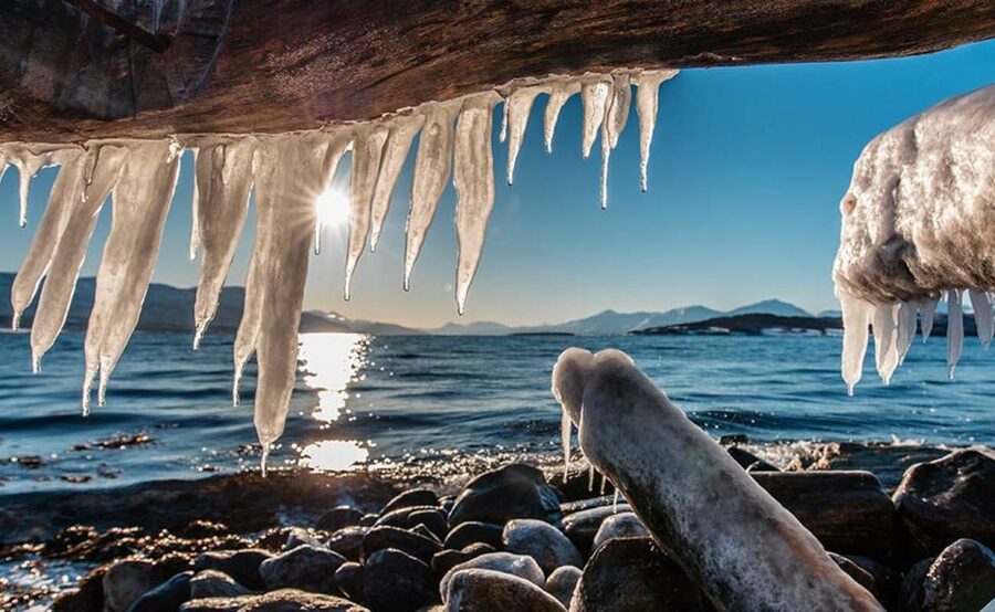 Tromsø: Winter Fjord Road Trip - Wildlife spotting in the cold: realistic chances, not guarantees