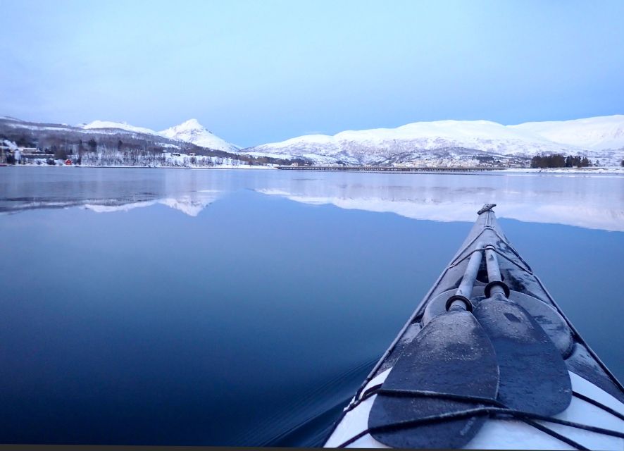 Tromsø: Winter Sea Kayaking Tour with Wildlife Sightings - Tromsø winter sea kayaking with drysuits and wildlife spotting