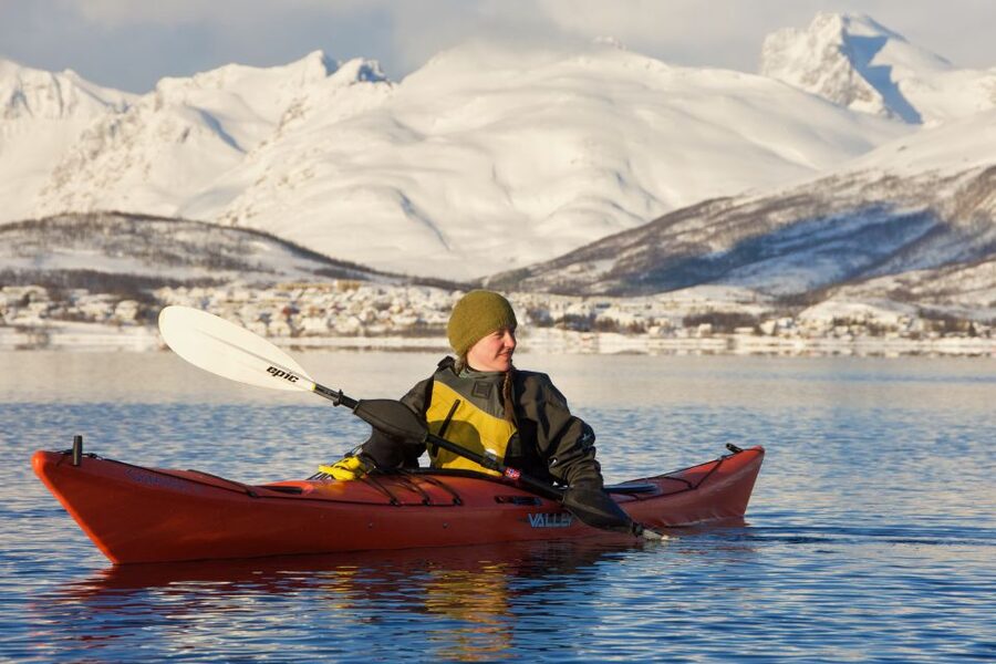 Tromsø: Winter Sea Kayaking Tour with Wildlife Sightings - Wildlife odds in the Arctic: seals, eagles, and seabirds