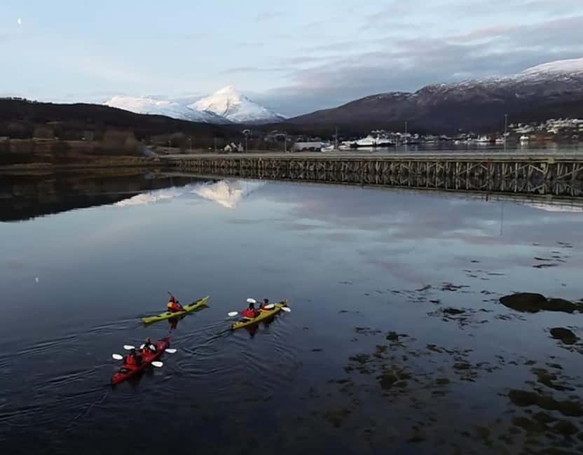 Tromsø: Winter Sea Kayaking Tour with Wildlife Sightings - What happens when the weather turns: crisp, clear, and sometimes icy