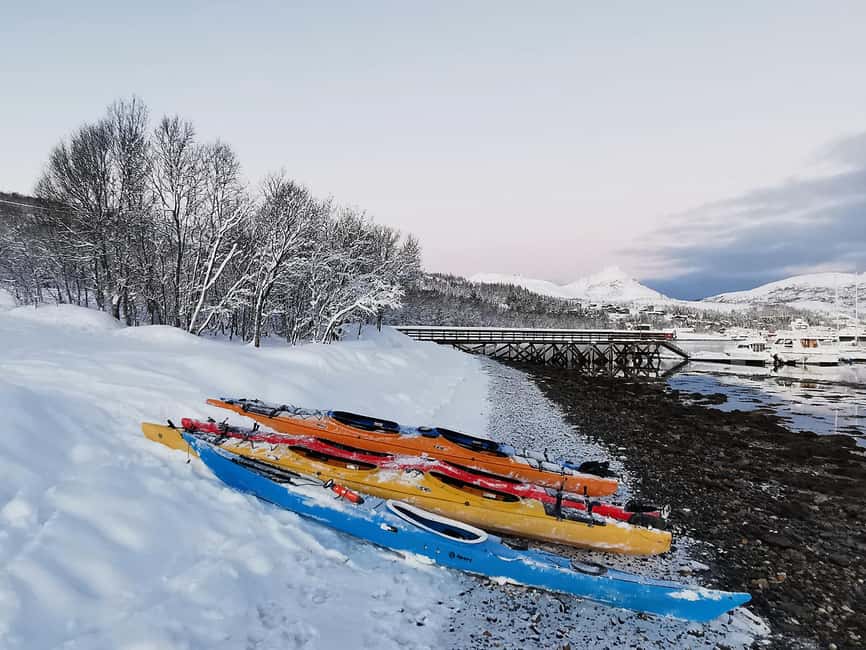 Tromsø: Winter Sea Kayaking Tour with Wildlife Sightings - Paddling pace, distance, and what “not too hard” really means
