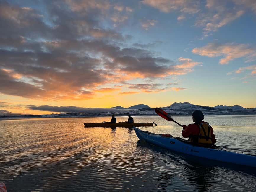 Tromsø: Winter Sea Kayaking Tour with Wildlife Sightings - Price and value: why $225 can make sense in winter