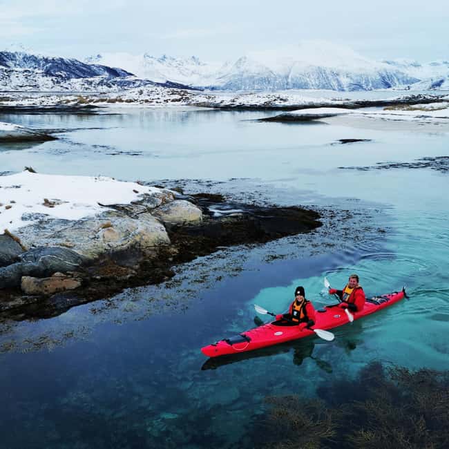 Tromsø: Winter Sea Kayaking Tour with Wildlife Sightings - Who should book, and who should skip it