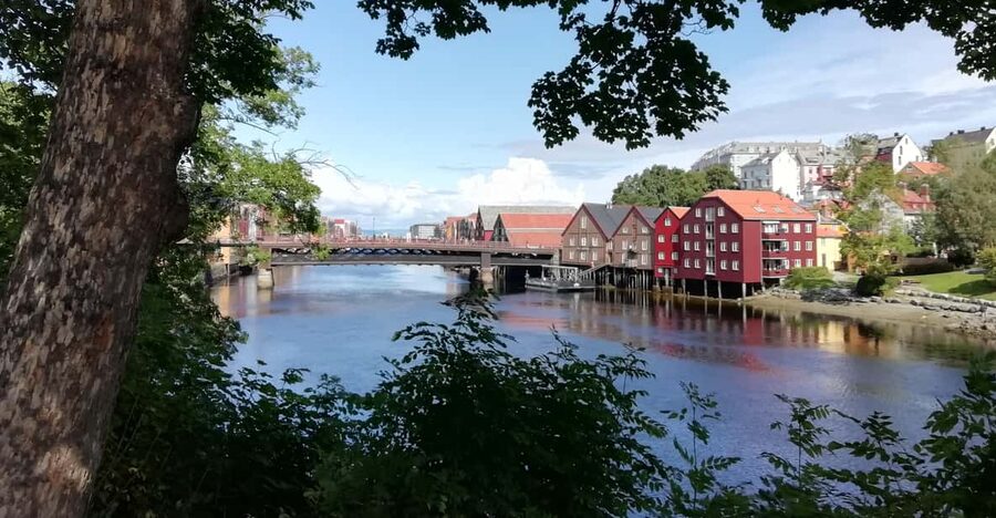 Trondheim : Explore the city of kings with a local guide - Who should book this Trondheim highlights walk
