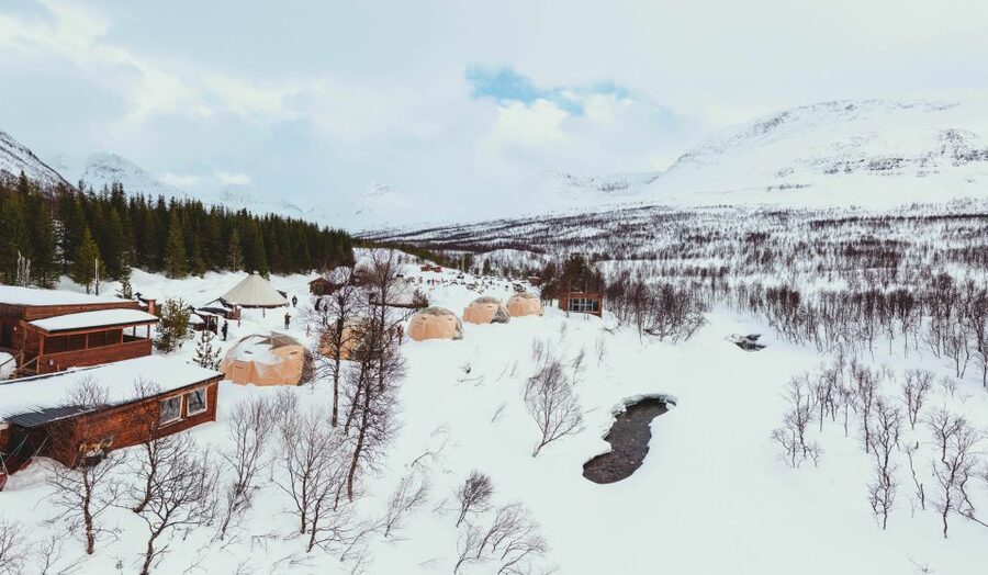 True Locals of the Arctic: Reindeer Sledding at Camp Tamok - Why Camp Tamok feels different than a typical “reindeer ride”