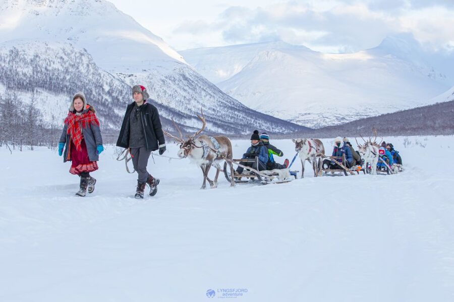 True Locals of the Arctic: Reindeer Sledding at Camp Tamok - Meeting point reality check inside Tromsø Havn Prostneset