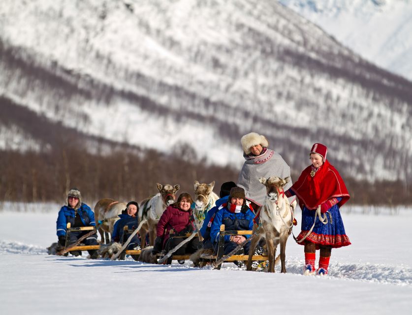 True Locals of the Arctic: Reindeer Sledding at Camp Tamok - Reindeer sledding at the Sami camp: slow, gentle, and close enough to matter
