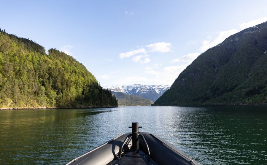 Ulvik: Hardangerfjord Ultimate RIB Tour - Osafjord: roadless shoreline life along a narrow 13 km fjord arm