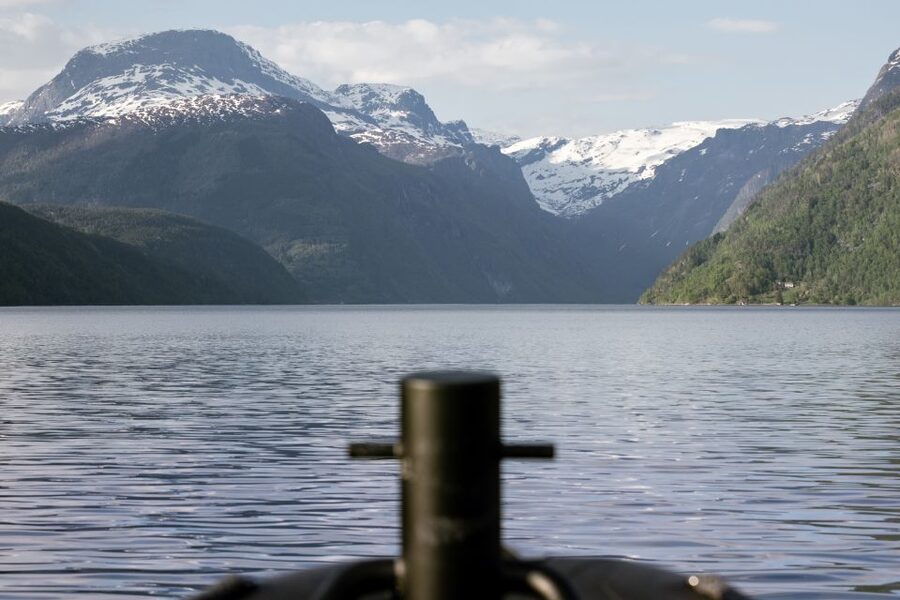 Ulvik: Hardangerfjord Ultimate RIB Tour - Wildlife, photos, and where your attention should go