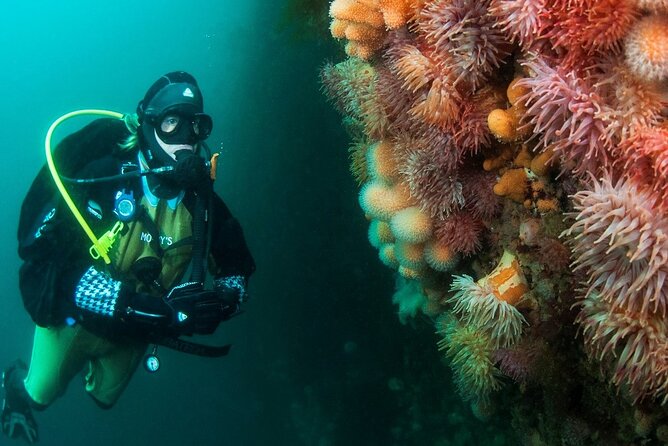 Unique Scuba Diving Experience - Coffee, no included food, and the practical rhythm of the day