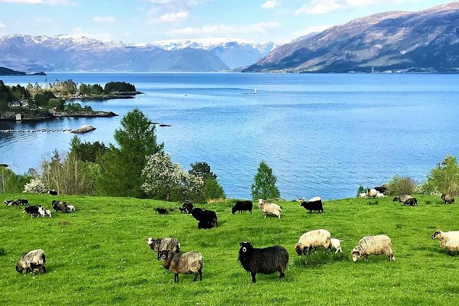 Viking Islands from Alesund: 5-Hour Private Group Tour - Giske Kirke: a medieval church still in use