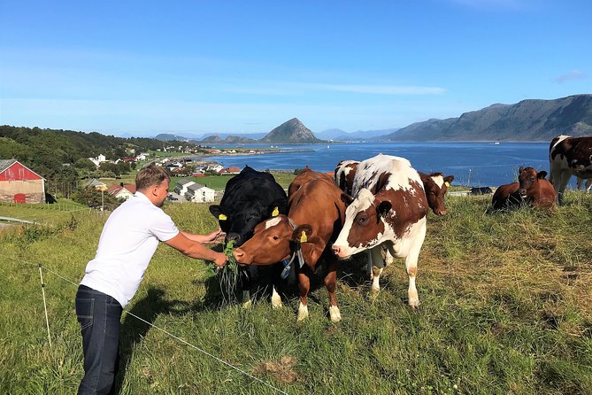 Viking Islands from Alesund: 5-Hour Private Group Tour - City-center Art Nouveau and the fire stories behind the streets