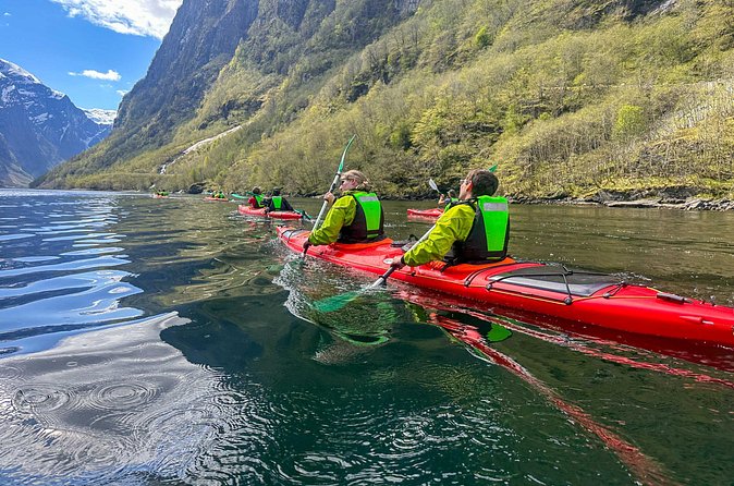 Vossevangen: Nærøyfjord Full-Day Guided Kayaking Trip - Cost and value, what you are paying for