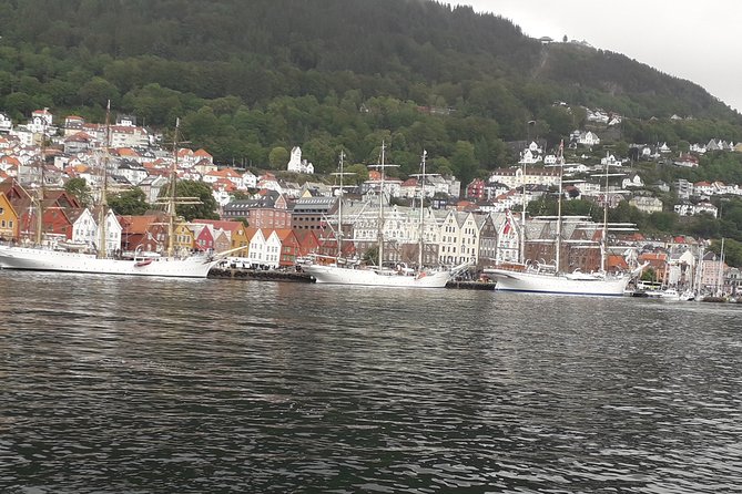 Walking tour: Medieval Spirit of Bergen + sweet Arctic gifts - Key highlights worth your time