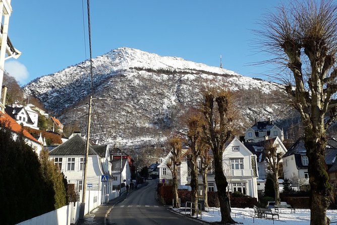 Walking tour: Medieval Spirit of Bergen + sweet Arctic gifts - Why this Bergen walk works so well in 2 hours