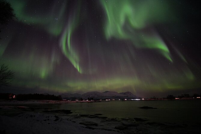 Watching The Aurora Dance - Photography help: tripod access and OneDrive delivery