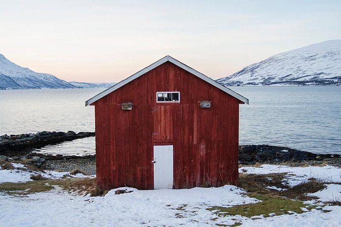 Winter Fjord Road Trip with Wandering Owl - From City Center to Arctic Fjords, Without the Stress