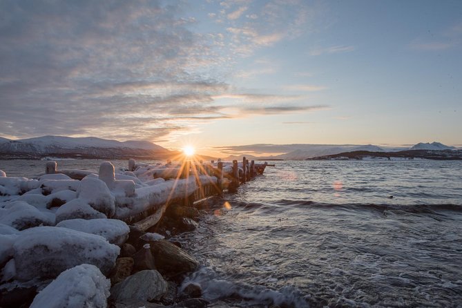 Winter Fjord Road Trip with Wandering Owl - Stop 1, Grotfjord: A Quick Fjord Photo Moment (About 35 Minutes)
