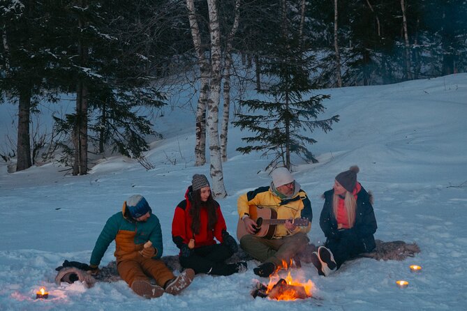 Winter Forest Walk and Campfire by Torchlight in Oslo - Torches, Safety, and What to Expect If Weather Changes
