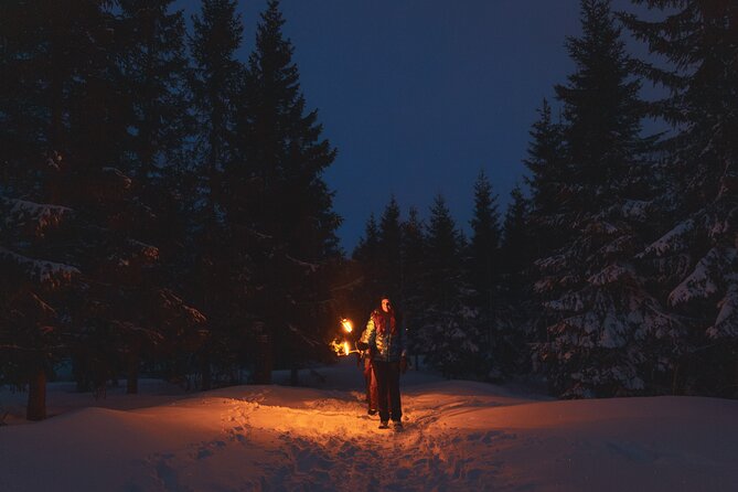Winter Forest Walk and Campfire by Torchlight in Oslo - Stop 1 at the Campfire: Hot Drinks, Marshmallows, and Cozy Time