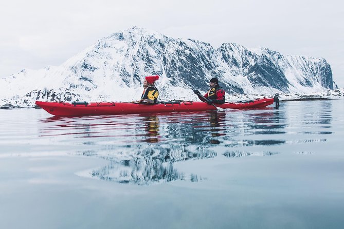 Winter Half Day Kayak Tour - Key Highlights Worth Booking