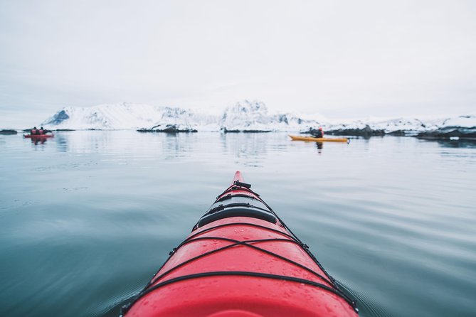 Winter Half Day Kayak Tour - Meeting at Eggum: Drysuits, Safety Briefing, and Getting Your Bearings