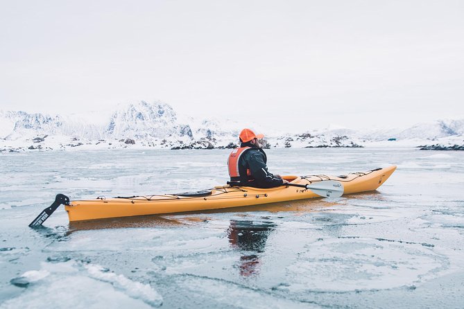 Winter Half Day Kayak Tour - Who This Tour Fits Best in Lofoten (and Who Might Want a Different Plan)