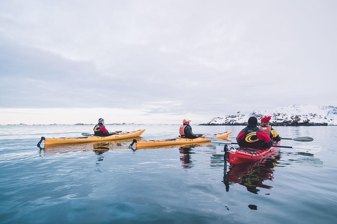 Winter Half Day Kayak Tour - Price and Value: What You Get for $118.45