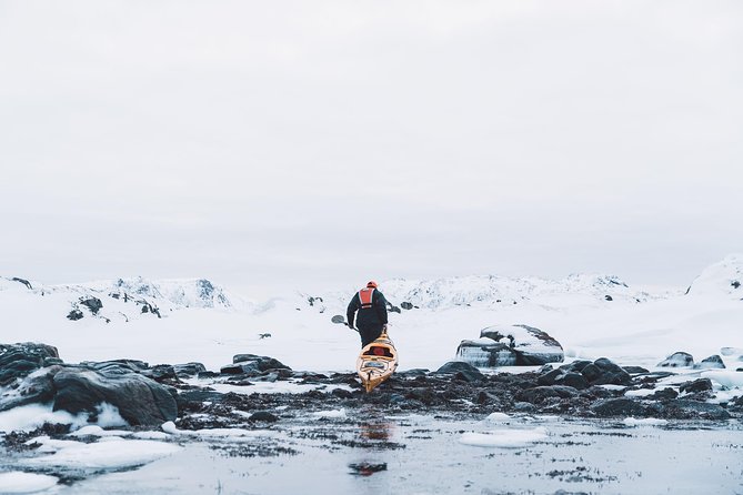 Winter Half Day Kayak Tour - Should You Book This Winter Half Day Kayak Tour in Lofoten?