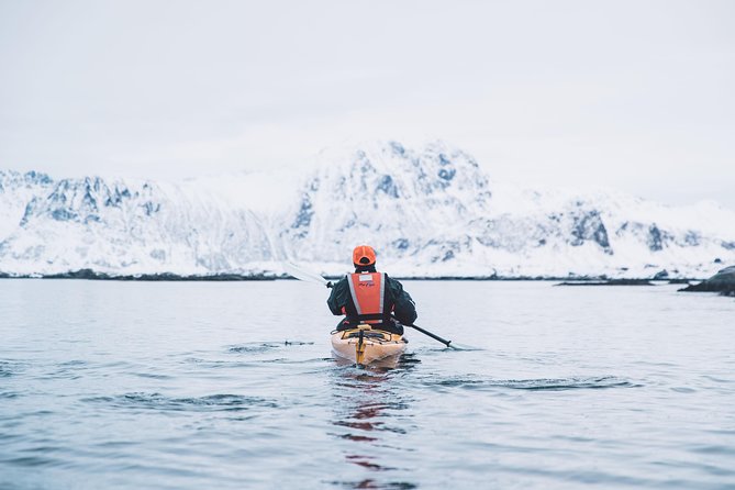 Winter Half Day Kayak Tour - FAQ