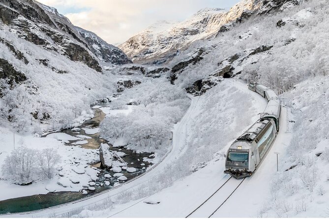 Winter Tour Viking Village, Nærøyfjord Cruise and Flåm Railway - Key highlights you should care about