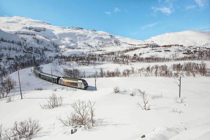 Winter Tour Viking Village, Nærøyfjord Cruise and Flåm Railway - Tvindefossen: the waterfall stop that comes with local legend