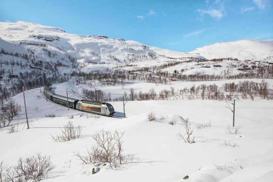 Winter Tour Viking Village, Nærøyfjord Cruise & Flåm Railway - Who this tour fits best, and who should think twice