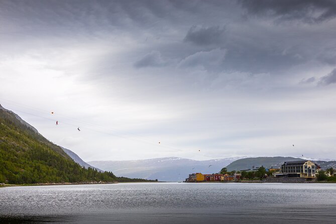 Zipline Experience in Mosjøen - Who Should Book It (and Who Might Reconsider)